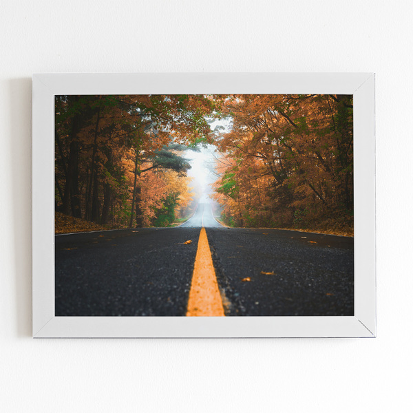 Estrada Paisagem Árvores Foto Quadro Moldura Branca 60x40cm