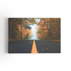 Estrada Paisagem Árvores Fotografia Quadro Canvas 100x70cm