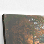 Estrada Paisagem Árvores Fotografia Quadro Canvas 120x80cm