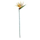 ESTRELITZIA MÉDIA AMARELA  - 70CM