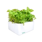 Estufa Inteligente 20x20x8cm Branca Brota Company