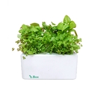 Estufa Inteligente 20x20x8cm Branca Brota Company