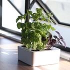 Estufa Inteligente 20x20x8cm Branca Brota Company