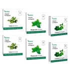 Estufa Inteligente 20x20x8cm Branca Brota Company