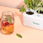 Estufa Inteligente 20x20x8cm Branca Brota Company