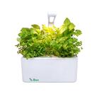 Estufa Inteligente 20x20x9cm Branca Brota Company