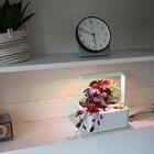 Estufa Inteligente 20x20x9cm Branca Brota Company