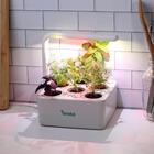 Estufa Inteligente 20x20x9cm Branca Brota Company