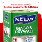 Euc Gesso & Drywall