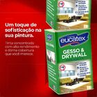 Euc Gesso & Drywall