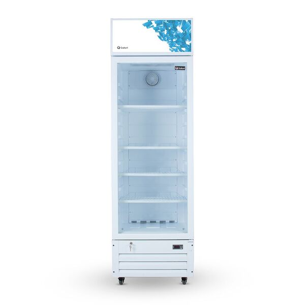 Expositor Refrigerado Visa Cooler Gallant 278L Vidro Duplo 22