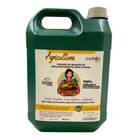 Extrato Pirolenhoso Orgânico Sítios E Fazendas (5l) Kairós