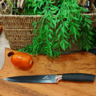 Faca De Inox Para Carne De Cozinha Com Cabo De Silicone