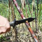 Faca De Sobrevivência 7' Scorpion Nautika Aço Inox Tática Aca