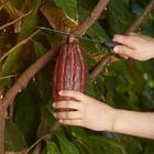 Facão Para Mato Com Cabo Plástico 18 Polegadas - Starfer