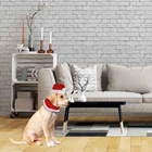 Fantasia Pet Natal Gorro E Gola Luxo Premium - Magizi