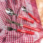 Faqueiro 24 Peças Biona Vermelho Intenso