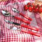 Faqueiro 24 Peças Biona Vermelho Intenso