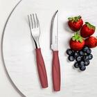 Faqueiro Itaparica 20 Peças - Rosa Malva