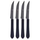 Faqueiro Tramontina Leme Com Lâminas Em Aço Inox E Cabos De P