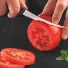 Faqueiro Tramontina Plenus 4 Peças Em Aço Inox Jogo De Faca P