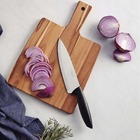 Faqueiro Tramontina Plenus 4 Peças Em Aço Inox Jogo De Faca P