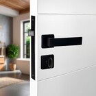 Fechadura Arouca Simples para Porta do Banheiro Preto 55mm Aço Inox Chess