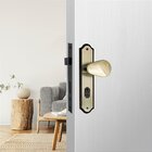 Fechadura Silvana 1100 Golf Externa Espelho Premium Oxidável