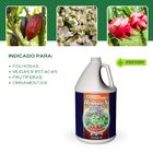 Fert. Mineral Misto Hidrop Armor Si 3,79 L Gh 4%k2o Regpr0008