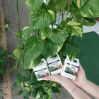 Fert Min Misto Hidrop Dynagro Foliage237ml9n3p2o56k2o2ca0,5mg