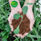 Fert Org Simples Classe A Torta De Neem Terra Neem1kg Pr00082