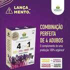 Fertilizante 4em1 Torta Farinha Humus Carvão (600g) Vitaplan
