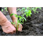 Fertilizante Adubo 20 05 20 Para Fortalecimento - 20kg