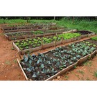 Fertilizante Adubo De Uso Geral Npk 10 10 10 - 10kg