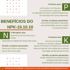 Fertilizante Adubo Para Orquídea Npk 10 10 10 - 300g Pet