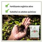 Fertilizante Composto Orgânico Trad.japonês (1,5kg) Vitaplan