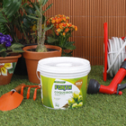 Fertilizante Coqueiros 3Kg Forth