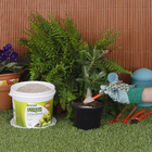 Fertilizante Coqueiros 3Kg Forth