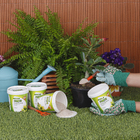 Fertilizante Coqueiros 400g Forth