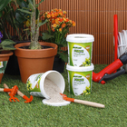 Fertilizante Coqueiros 400g Forth