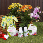 Fertilizante Flores 60ml Forth