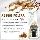 Fertilizante Foliar Algas Maxxi Uso Geral Spu 500ml