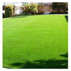 Fertilizante Foliar Forth Gramado Foliar 3 Kg