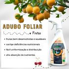 Fertilizante Foliar Maxxi Frutas Spu 500ml Caixa Com 12
