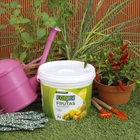 Fertilizante Frutas 3kg Forth