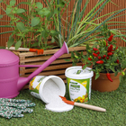 Fertilizante Frutas 400g Forth