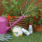 Fertilizante Frutas 60ml Forth