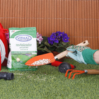 Fertilizante Gramado Químico Vithal