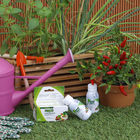 Fertilizante Hortaliças 60ml Forth