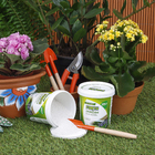 Fertilizante Jardim 400g Forth